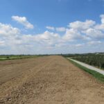 Lewy wał rzeki Koprzywianki / Grażyna Szlęzak-Wójcik / Radio Kielce