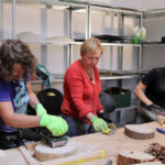 Warsztaty rękodzieła z drewna na Wzgórzu Zamkowym / Wojciech Habdas / Radio Kielce