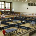 XVI Światowe Letnie Igrzyska Polonijne, turniej tenisa stołowego / Kamil Król / Radio Kielce