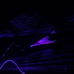 Pokaz laserów "Dynamika światła" / Kamil Król / Radio Kielce