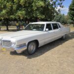 Przybij Piątkę w Tokarni wraz z motocyklami i zabytkowymi pojazdami / Konrad Łużniak / Radio Kielce