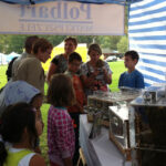 W Bałtowie rozpoczęło się tradycyjne Świętokrzyskie Święto Pszczoły. / Teresa Czajkowska / Radio Kielce