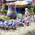 Święto śliwki w Szydłowie / Robert Felczak / Radio Kielce