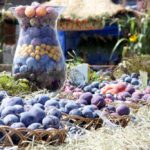 Święto śliwki w Szydłowie / Robert Felczak / Radio Kielce