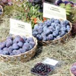 Święto śliwki w Szydłowie / Robert Felczak / Radio Kielce