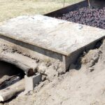 Święto śliwki w Szydłowie / Robert Felczak / Radio Kielce