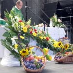 Święto śliwki w Szydłowie / Robert Felczak / Radio Kielce