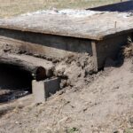 Święto śliwki w Szydłowie / Robert Felczak / Radio Kielce