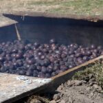 Święto śliwki w Szydłowie / Robert Felczak / Radio Kielce