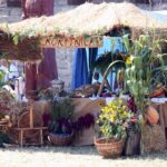 Święto śliwki w Szydłowie / Robert Felczak / Radio Kielce