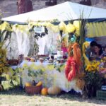 Święto śliwki w Szydłowie / Robert Felczak / Radio Kielce