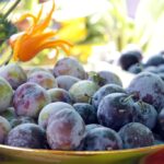 Święto śliwki w Szydłowie / Robert Felczak / Radio Kielce