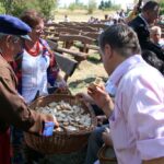 Uroczystośći dożynkowe gminy Chęciny w Tokarni / Robert Felczak / Radio Kielce