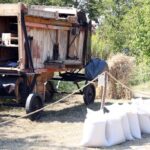 Uroczystośći dożynkowe gminy Chęciny w Tokarni / Robert Felczak / Radio Kielce