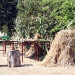 Uroczystośći dożynkowe gminy Chęciny w Tokarni / Robert Felczak / Radio Kielce