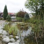 Otwarcie Domu Seniora / Piotr Michalski / Radio Kielce