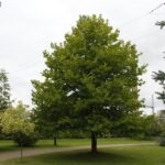 Otwarcie Domu Seniora / Piotr Michalski / Radio Kielce