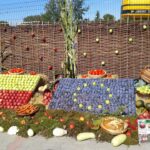 Europejskie Święto Jabłka w Obrazowie / Lucyna Bukato / Radio Kielce