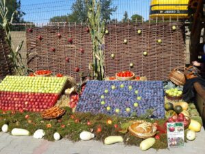 Europejskie Święto Jabłka w Obrazowie / Lucyna Bukato / Radio Kielce