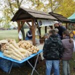 Święto Chleba w Tokarni / Piotr Michalski / Radio Kielce