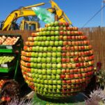 Europejskie Święto Jabłka w Obrazowie