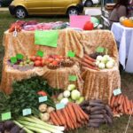 Dożynki powiatu ostrowieckiego w Bodzechowie / Teresa Czajkowska / Radio Kielce