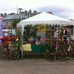 Dożynki powiatu ostrowieckiego w Bodzechowie / Teresa Czajkowska / Radio Kielce