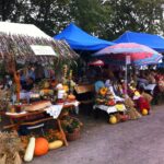 Dożynki powiatu ostrowieckiego w Bodzechowie / Teresa Czajkowska / Radio Kielce