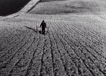 Źródło: Album „Sztuka Fotografii”, Almanach 30.lecia okręgu świętokrzyskiego Związku Polskich Artystów Fotografików, 1978-2008 / Andrzej Pęczalski/PiK