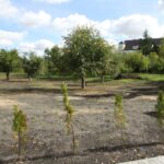 Nowe przedszkole przy ulicy Żółkiewskiego w Kielcach / Kamil Król / Radio Kielce