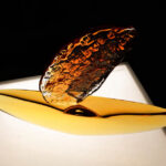 Wystawa "Poezja Światła" w Instytucie Designu / Wojciech Habdas / Radio Kielce