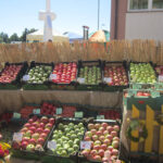 13. Świętokrzyskie Dożynki Wojewódzkie / Ewa Okońska / Radio Kielce