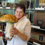 Rekordowy prawdziwek, ważący 1,61kg, znaleziony przez panią Bogusławę, w okolicach Niestachowa. / Wojciech Habdas / Radio Kielce