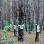 Wystawa Wielki Terror na kieleckim rynku / Wojciech Habdas / Radio Kielce