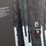 Wystawa Wielki Terror na kieleckim rynku / Wojciech Habdas / Radio Kielce