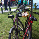 Mityng w Kolarstwie Oddziału Regionalnego Olimpiad Specjalnych Polska / Ewa Pociejowska-Gawęda / Radio Kielce