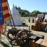 Europejskie Dni Dziedzictwa w Wąchocku / Kamil Król / Radio Kielce