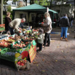 Piknik profilaktyczno-edukacyjny "Warzywa, owoce i ruch a będziesz zdrów" w Parku Miejskim / Wojciech Habdas / Radio Kielce