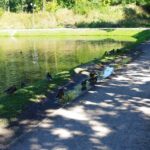 Ścieżka rowerowa wokół kieleckiego zalewu nie nadaje się do użytku / Paweł Klepka / Radio Kielce