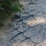 Ścieżka rowerowa wokół kieleckiego zalewu nie nadaje się do użytku / Paweł Klepka / Radio Kielce