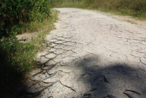 Ścieżka rowerowa wokół kieleckiego zalewu nie nadaje się do użytku / Paweł Klepka / Radio Kielce