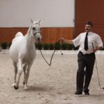 Specjalny pokaz koni z okazji 60-lecia stadniny w Michałowie / Kamil Król / Radio Kielce