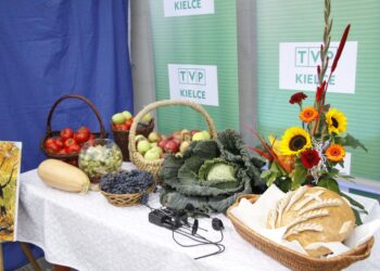 Targi Żywności Ekologicznej / Kamil Król / Radio Kielce