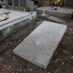 Przed 2012 rokiem, kiedy pomnik poddany został renowacji, anioł był niekompletny, brakowało jednego ze skrzydeł, drugie było nadłamane.