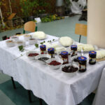 „Jesień w ekologicznym ogrodzie” – to tytuł wystawy, która została otwarta w Zespole Szkół Centrum Kształcenia Rolniczego w Sandomierzu. / Grażyna Szlęzak-Wójcik / Radio Kielce