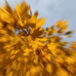 Jesień w Kielcach. Osiedle Sady. / Wojciech Habdas / Radio Kielce