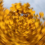 Jesień w Kielcach. Osiedle Sady. / Wojciech Habdas / Radio Kielce