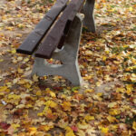 Jesień w Kielcach. Bocianek. / Wojciech Habdas / Radio Kielce