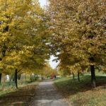 Jesień w Kielcach. Bocianek. / Wojciech Habdas / Radio Kielce