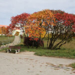 Jesień w Kielcach. Bocianek. / Wojciech Habdas / Radio Kielce